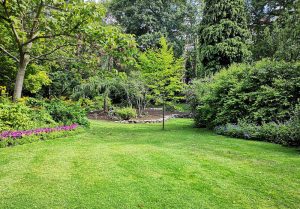 Optimiser l'expérience du jardin à Juzet-de-Luchon